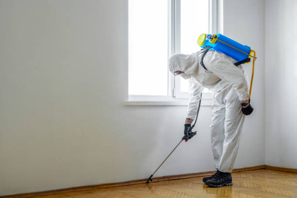 Professional Pest Control in Westminster, CA